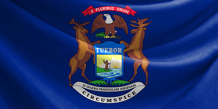 Michigan's official flag