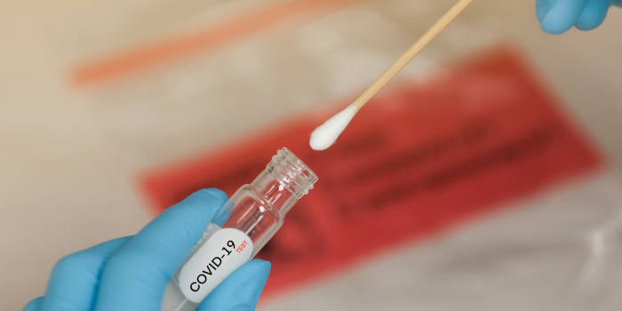 Covid-19 swab