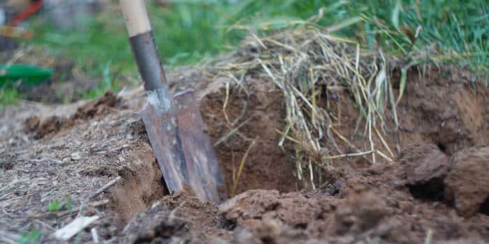 news-shallow-grave-and-a-shovel