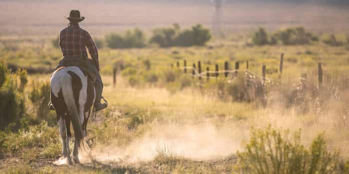 cowboy-texas-riding