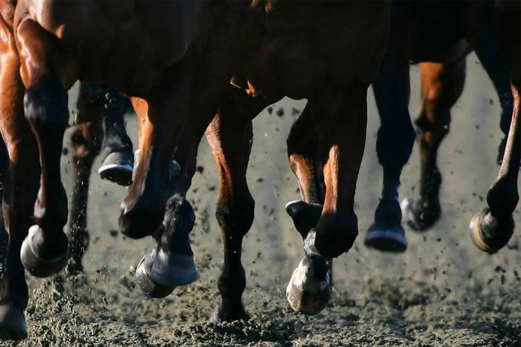 Trainer fined $100K fine by Nevada regulators for illegally drugging race horses